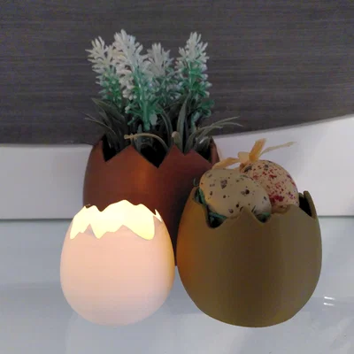 Chậu vỏ trứng (Eggshell pot)