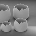 Chậu vỏ trứng (Eggshell pot) - Thumbnail 2