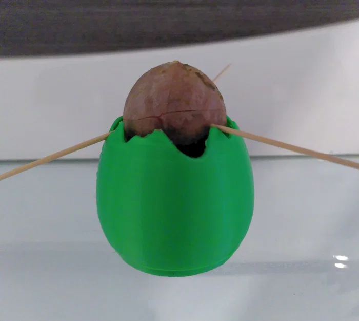 Chậu vỏ trứng (Eggshell pot) - Image 4