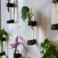 Fridge Farm – Giá đỡ nhân giống cây bằng nam châm cho tủ lạnh - Thumbnail 1