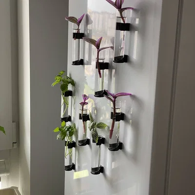 Fridge Farm – Giá đỡ nhân giống cây bằng nam châm cho tủ lạnh