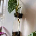 Fridge Farm – Giá đỡ nhân giống cây bằng nam châm cho tủ lạnh - Thumbnail 5