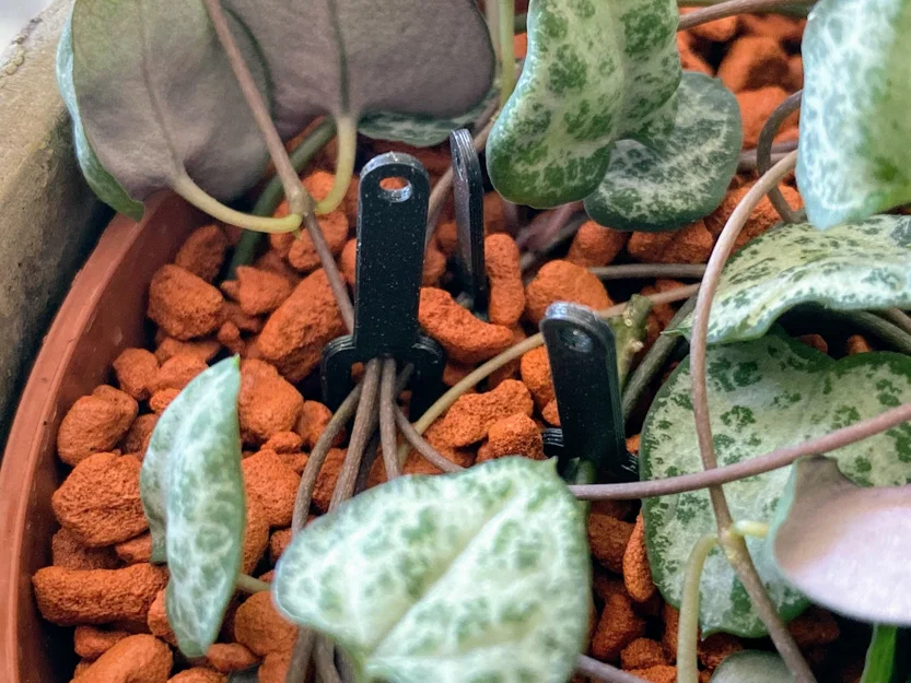 Plant Pin Pro – Ghim cố định thân và rễ cây cho đất & passive hydroponics - Image 1