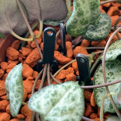 Plant Pin Pro – Ghim cố định thân và rễ cây cho đất & passive hydroponics