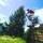 EzraMickel_3177322