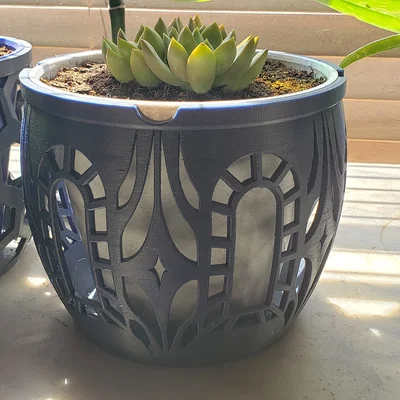 Window Star - Chậu Cây Cỡ Lớn
