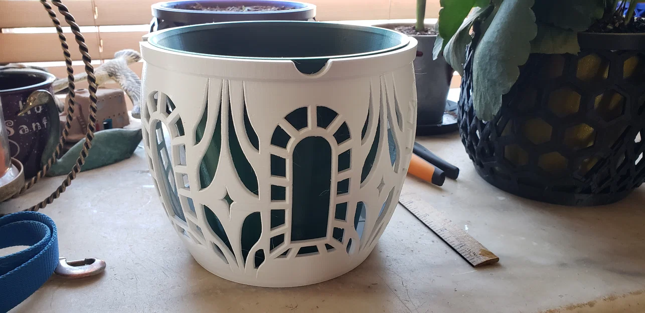 Window Star - Chậu Cây Cỡ Lớn - Image 2