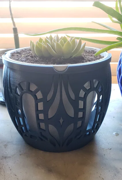 Window Star - Chậu Cây Cỡ Lớn - Image 4