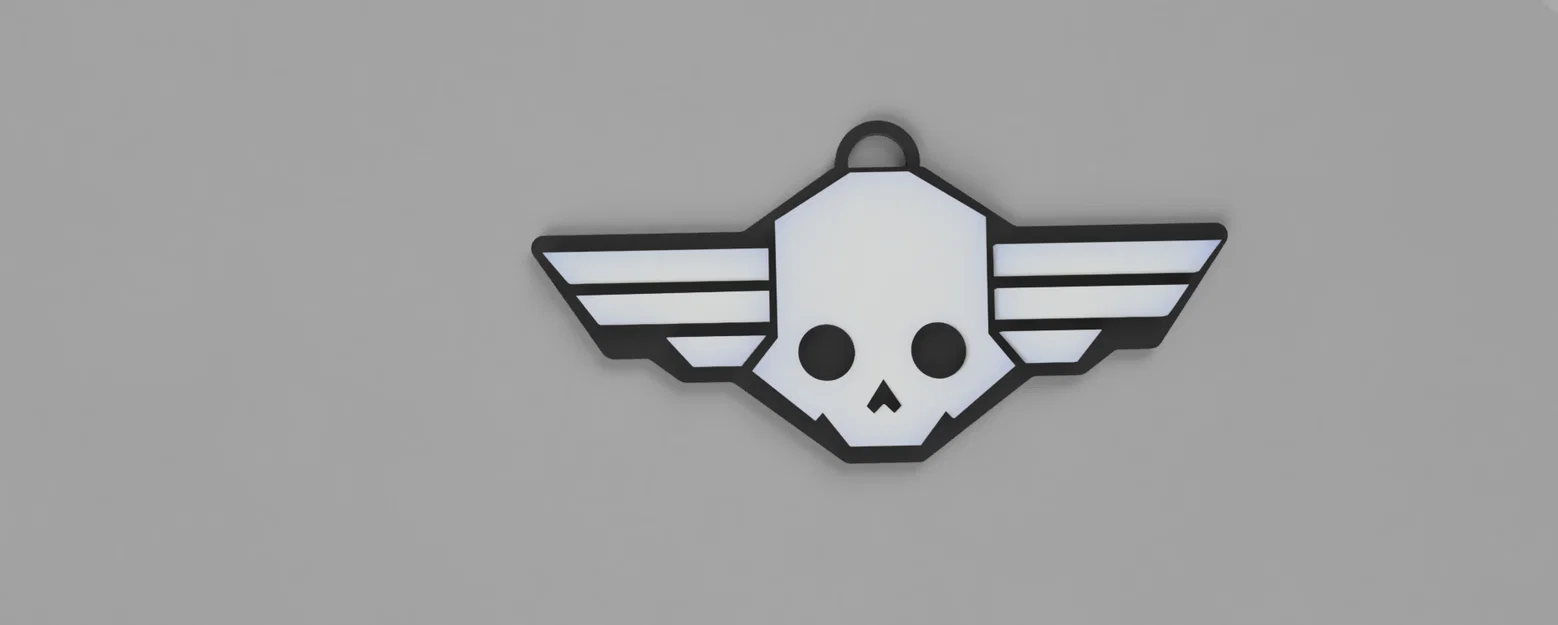 Mô hình phụ kiện Helldivers Skull - Patch và Dogtag in 3D - Image 3