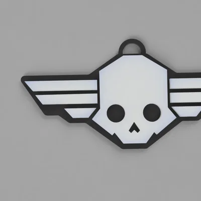 Mô hình phụ kiện Helldivers Skull - Patch và Dogtag in 3D