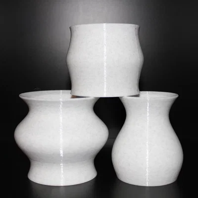 Bộ 3 Chậu Trồng Cây Mọng Nước 3D (Macetas Suculentas Plantines)