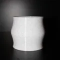 Bộ 3 Chậu Trồng Cây Mọng Nước 3D (Macetas Suculentas Plantines) - Thumbnail 6
