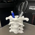 Khay Cắm Bút Xương Cột Sống (Spine Pen Holder) - Thumbnail 1