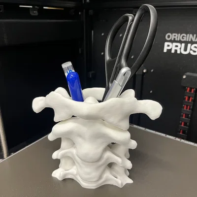 Khay Cắm Bút Xương Cột Sống (Spine Pen Holder)
