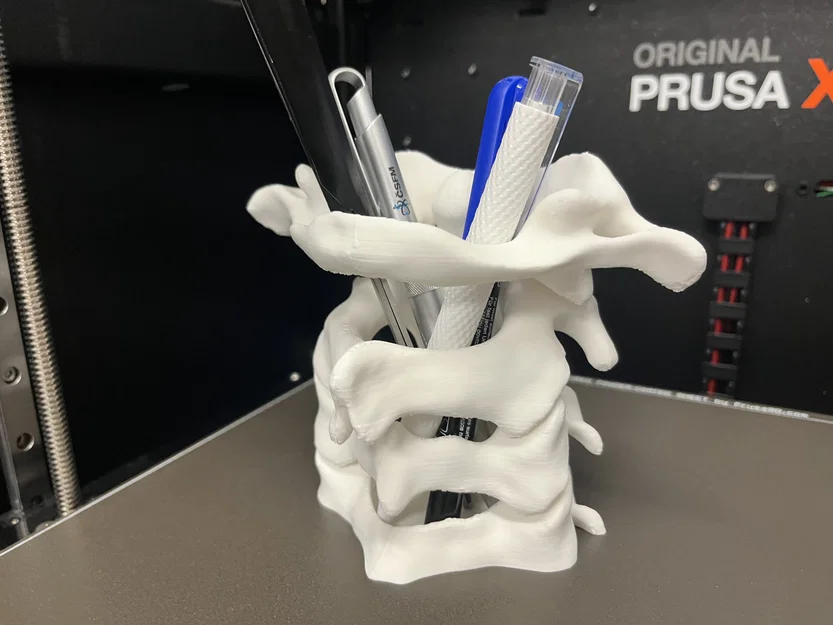 Khay Cắm Bút Xương Cột Sống (Spine Pen Holder) - Image 2