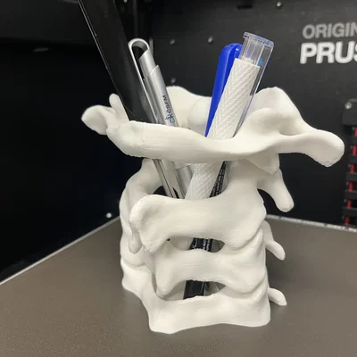 Khay Cắm Bút Xương Cột Sống (Spine Pen Holder)