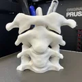 Khay Cắm Bút Xương Cột Sống (Spine Pen Holder) - Thumbnail 3