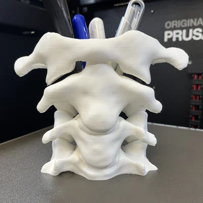 Khay Cắm Bút Xương Cột Sống (Spine Pen Holder)