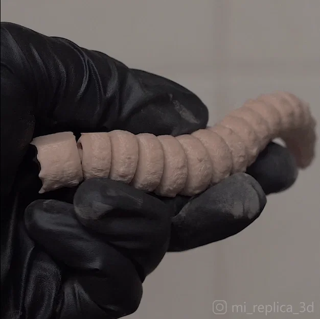 Mô hình sâu cát Dune Flexi Sandworm in 3D linh hoạt cực đẹp - Image 7