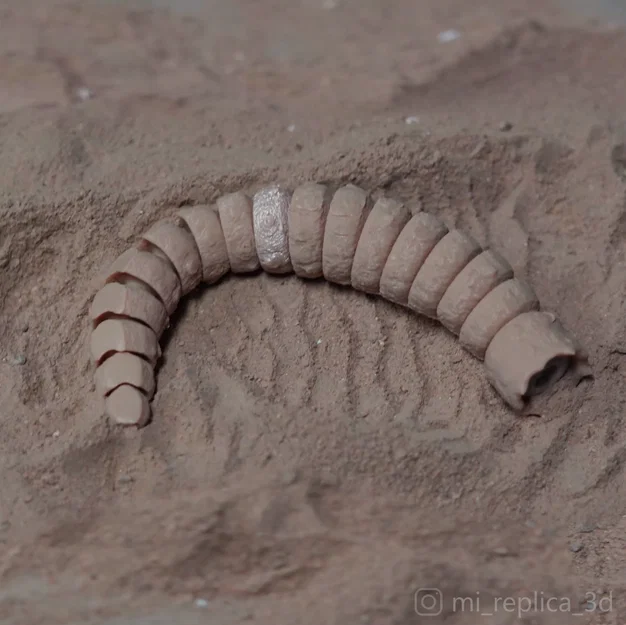 Mô hình sâu cát Dune Flexi Sandworm in 3D linh hoạt cực đẹp - Image 8