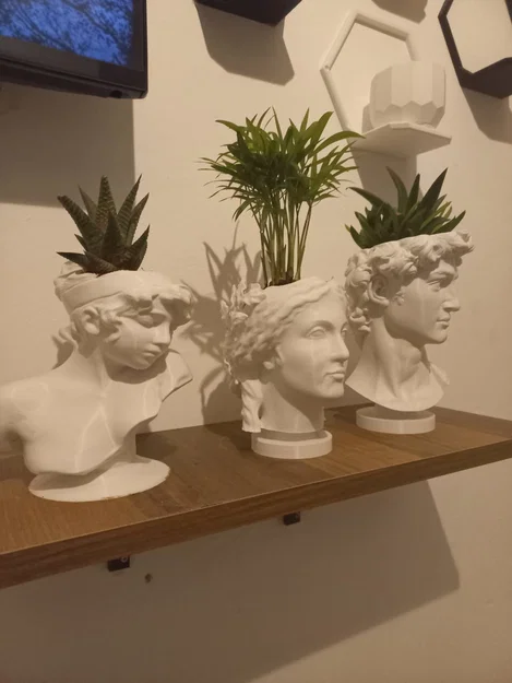 Chậu trồng cây 3D hình tượng thiên thần nghệ thuật - Decor độc đáo - Image 1