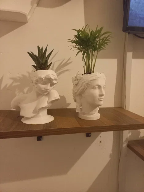 Chậu trồng cây 3D hình tượng thiên thần nghệ thuật - Decor độc đáo - Image 6