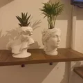 Chậu trồng cây 3D hình tượng thiên thần nghệ thuật - Decor độc đáo - Thumbnail 6