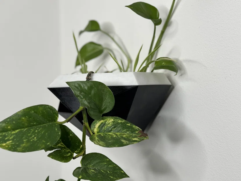 Chậu Treo Tường Hình Học Tự Tưới (Geometric Wall planter) - Image 1