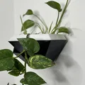 Chậu Treo Tường Hình Học Tự Tưới (Geometric Wall planter) - Thumbnail 1