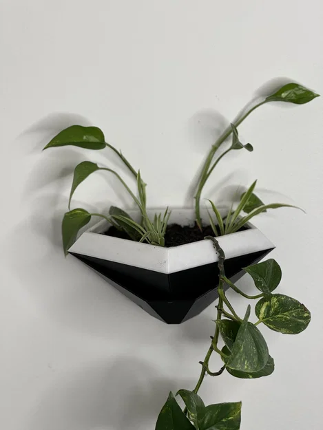 Chậu Treo Tường Hình Học Tự Tưới (Geometric Wall planter) - Image 2