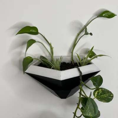Chậu Treo Tường Hình Học Tự Tưới (Geometric Wall planter)