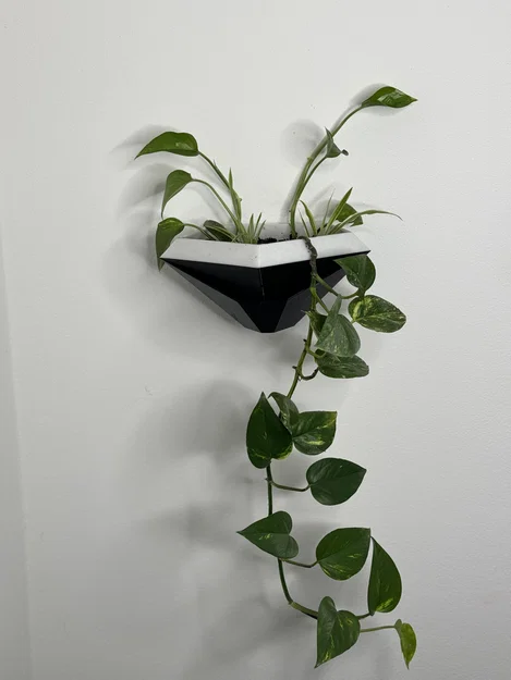 Chậu Treo Tường Hình Học Tự Tưới (Geometric Wall planter) - Image 3