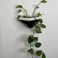 Chậu Treo Tường Hình Học Tự Tưới (Geometric Wall planter) - Thumbnail 3