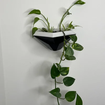 Chậu Treo Tường Hình Học Tự Tưới (Geometric Wall planter)