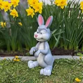 Thỏ Easter hoạt hình dễ thương cho khu vườn - Thumbnail 7