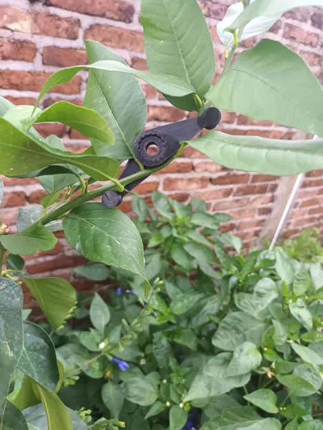 Dụng cụ uốn nắn thân cây (Plant Bender) hỗ trợ làm vườn 3D - Image 1