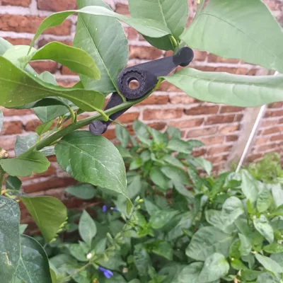 Dụng cụ uốn nắn thân cây (Plant Bender) hỗ trợ làm vườn 3D