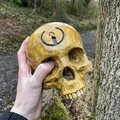 Hộp Sọ Sinh Nhật Grunt Halo (Halo Grunt Birthday Skull) - Thumbnail 1
