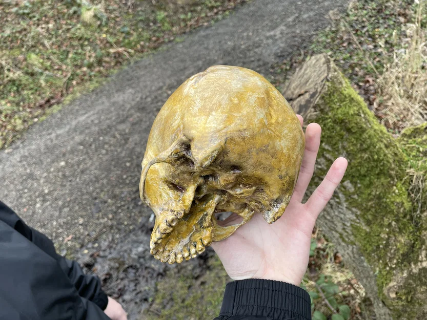 Hộp Sọ Sinh Nhật Grunt Halo (Halo Grunt Birthday Skull) - Image 2