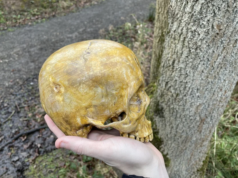Hộp Sọ Sinh Nhật Grunt Halo (Halo Grunt Birthday Skull) - Image 3