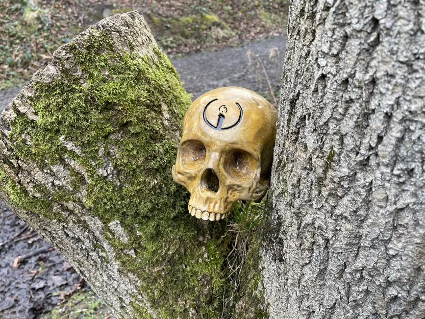 Hộp Sọ Sinh Nhật Grunt Halo (Halo Grunt Birthday Skull) - Image 4