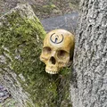 Hộp Sọ Sinh Nhật Grunt Halo (Halo Grunt Birthday Skull) - Thumbnail 4