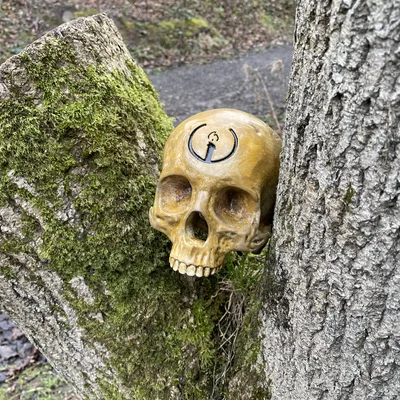 Hộp Sọ Sinh Nhật Grunt Halo (Halo Grunt Birthday Skull)
