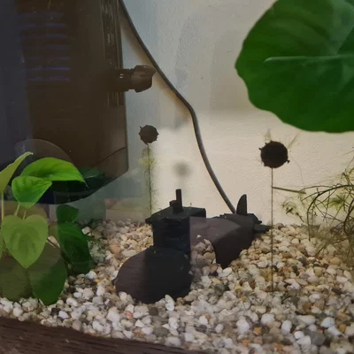 Tàu Ngầm Bị Chìm Cho Hồ Cá (Sunken Submarine for Aquarium)