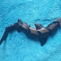 Cá mập hổ cát khớp linh hoạt (articulated Sand Tiger Shark) - Thumbnail 1