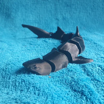 Cá mập hổ cát khớp linh hoạt (articulated Sand Tiger Shark)