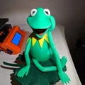 Lilypad / Lá có khoét lỗ cho Kermit the Frog - Thumbnail 1