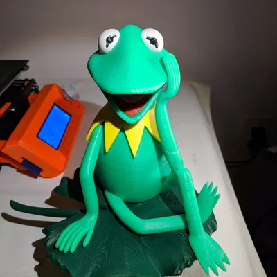Lilypad / Lá có khoét lỗ cho Kermit the Frog