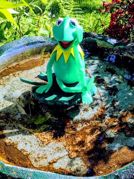 Lilypad / Lá có khoét lỗ cho Kermit the Frog - Image 3