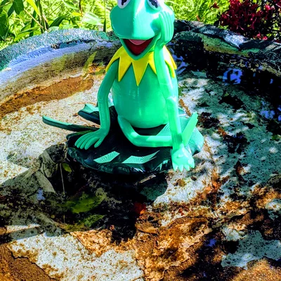 Lilypad / Lá có khoét lỗ cho Kermit the Frog